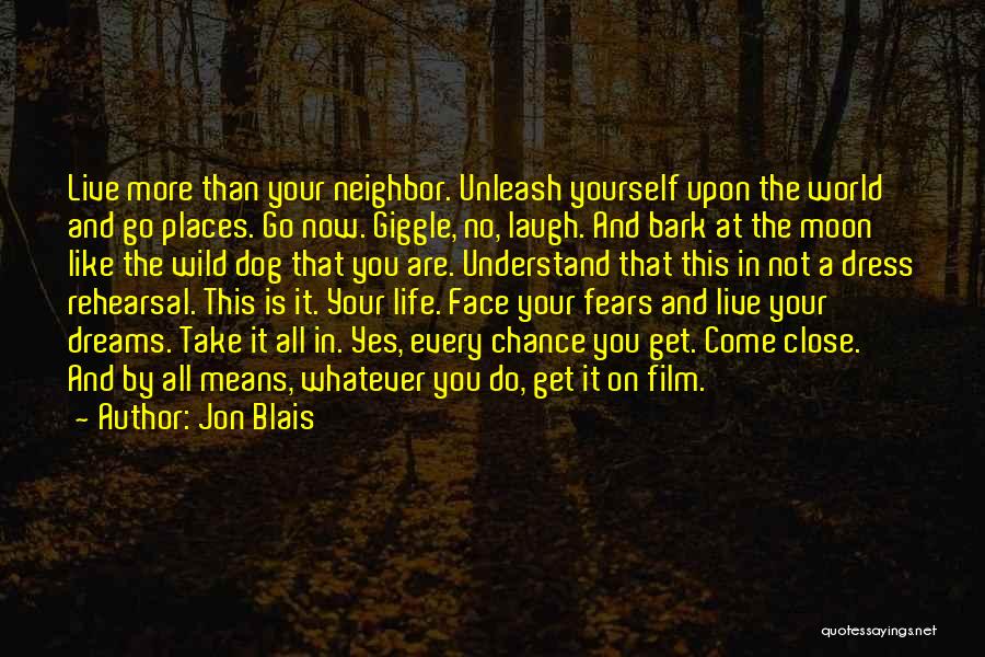 Do Whatever You Like Quotes By Jon Blais