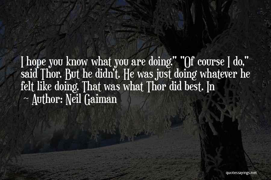Do Whatever You Like Quotes By Neil Gaiman