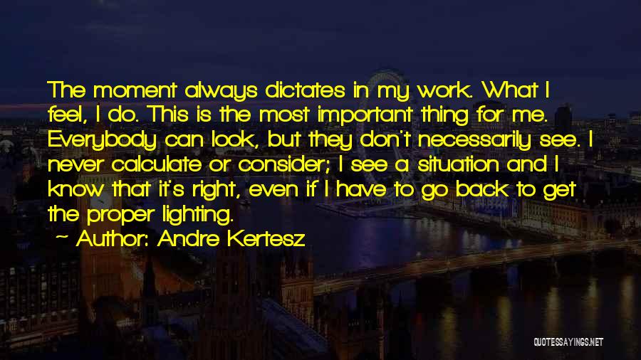 Do What's Right For Me Quotes By Andre Kertesz