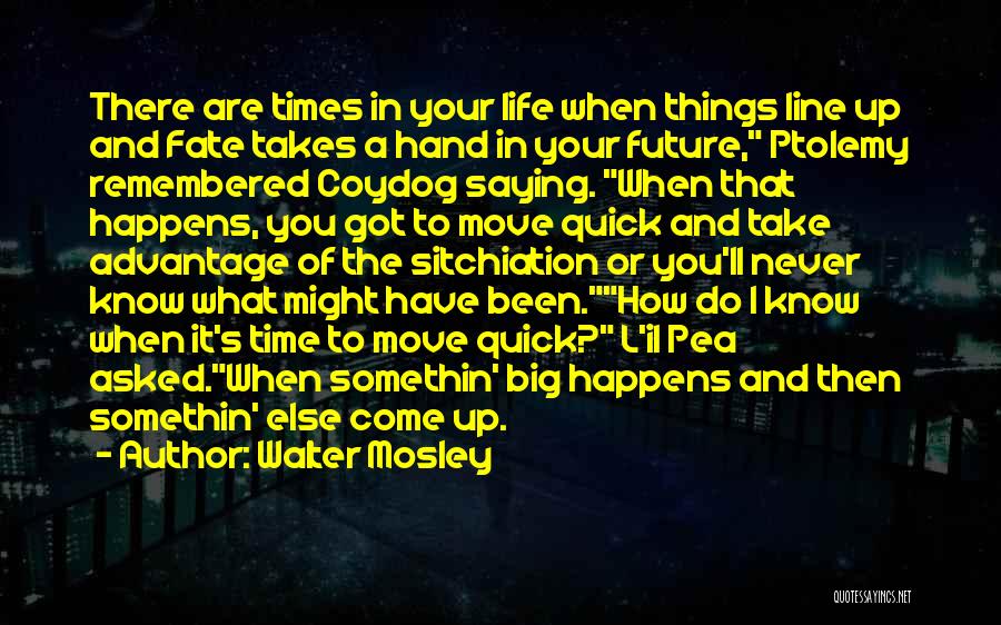 Do You Have What It Takes Quotes By Walter Mosley