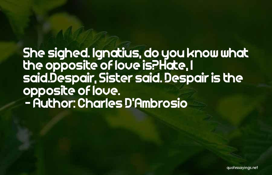 Do You Know I Love You Quotes By Charles D'Ambrosio