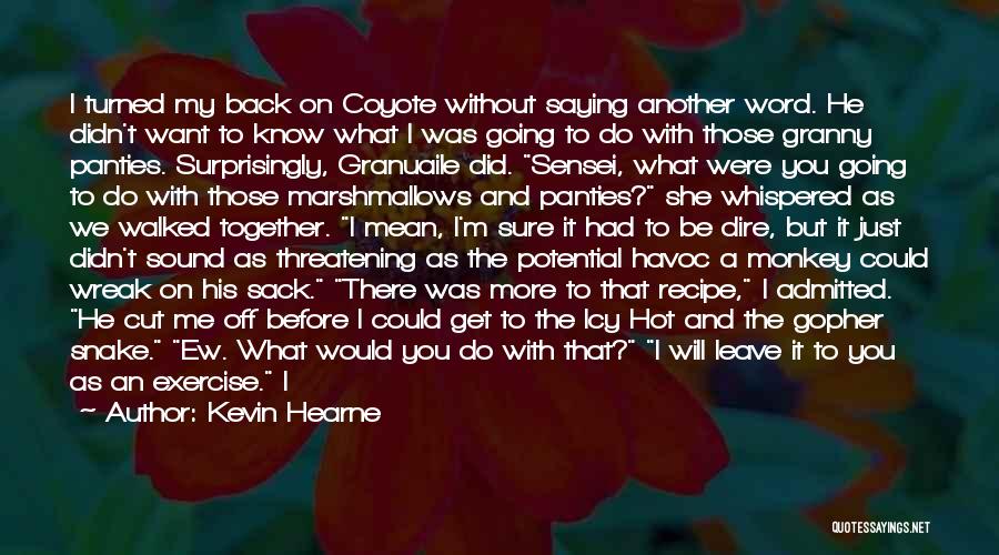 Do You Know What You Mean To Me Quotes By Kevin Hearne