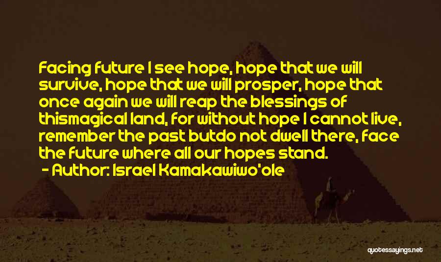 Do You See Me In Your Future Quotes By Israel Kamakawiwo'ole