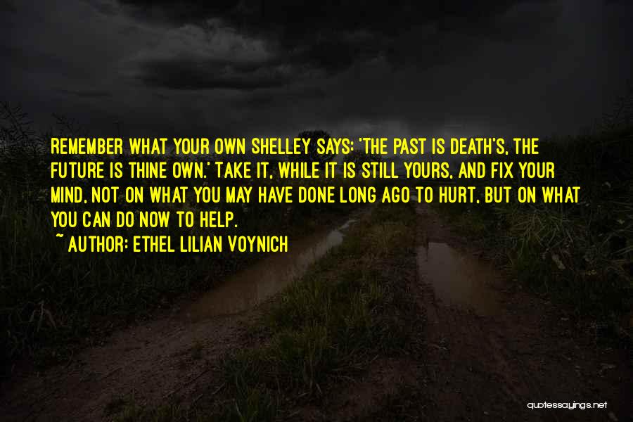 Do You Still Remember Quotes By Ethel Lilian Voynich
