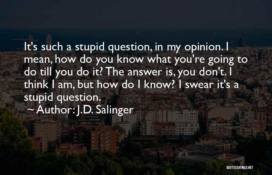 Do You Think I Am Stupid Quotes By J.D. Salinger