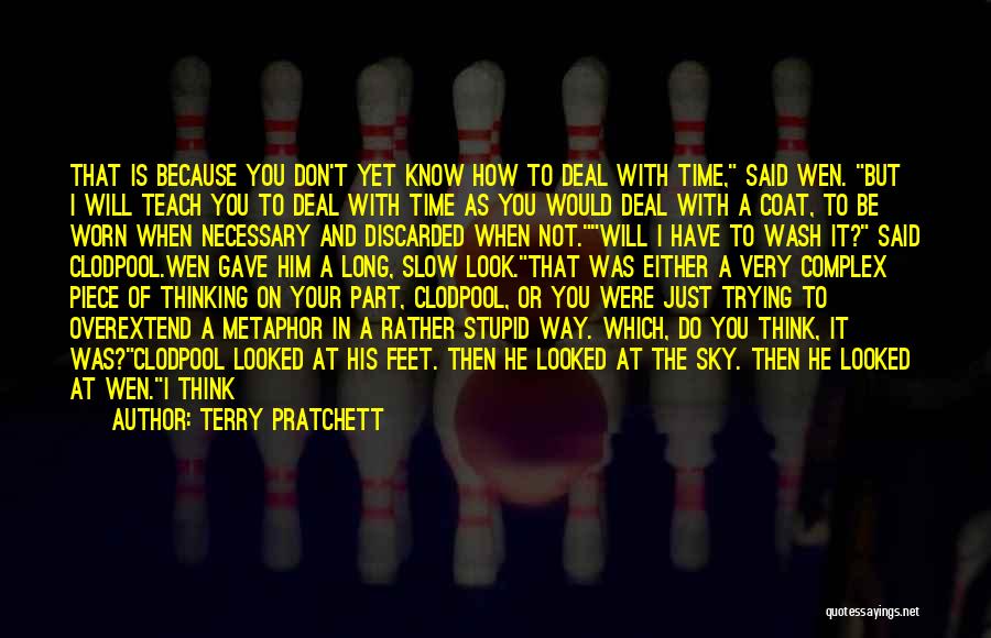 Do You Think I Am Stupid Quotes By Terry Pratchett