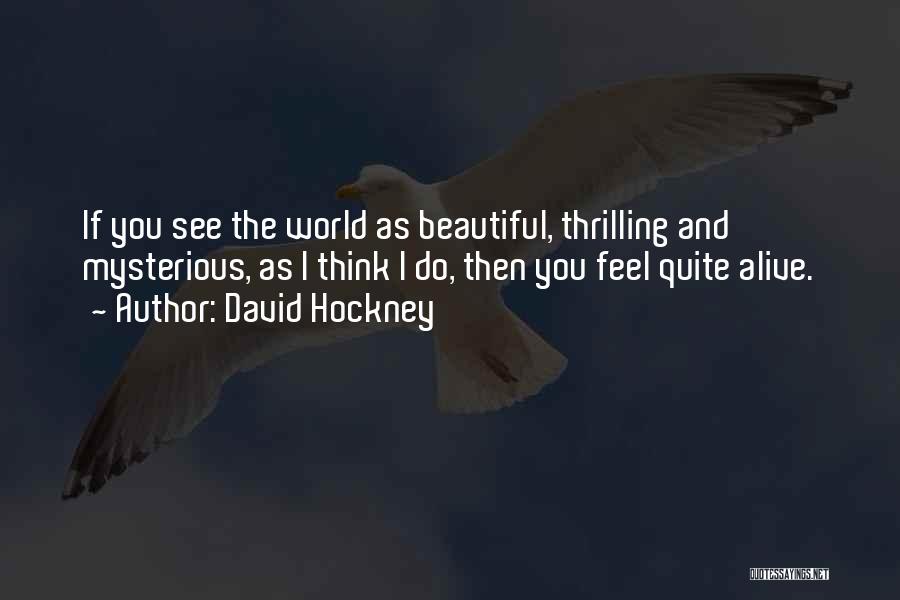 Do You Think I'm Beautiful Quotes By David Hockney