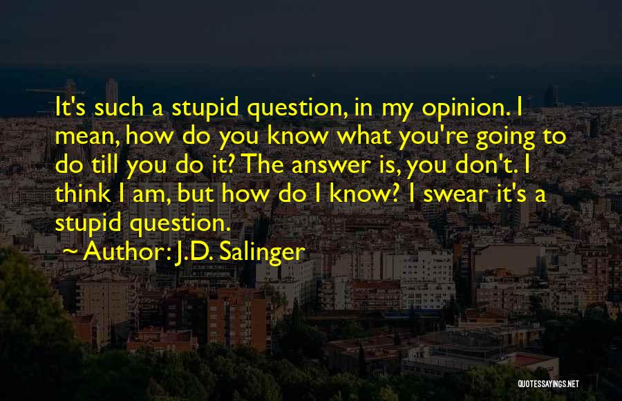 Do You Think I'm Stupid Quotes By J.D. Salinger