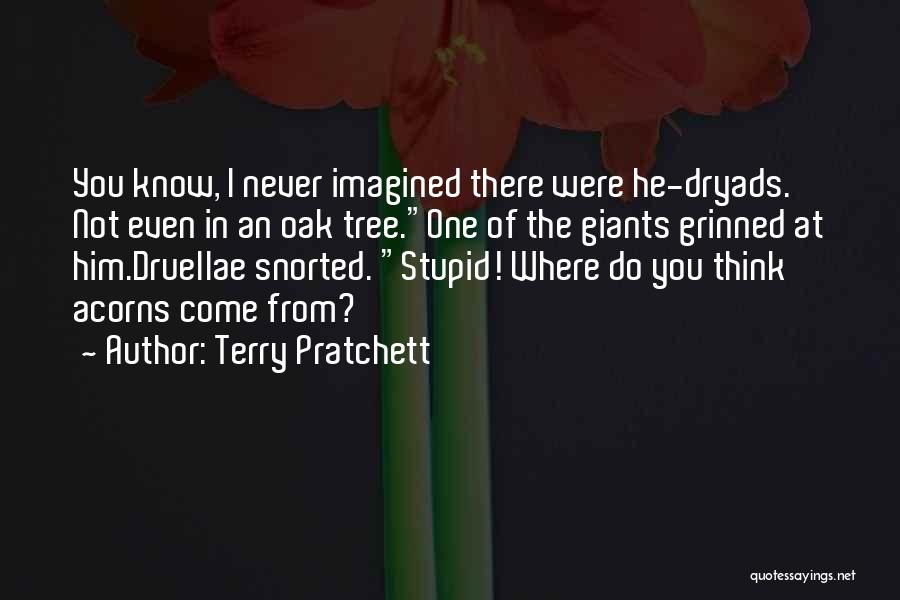 Do You Think I'm Stupid Quotes By Terry Pratchett