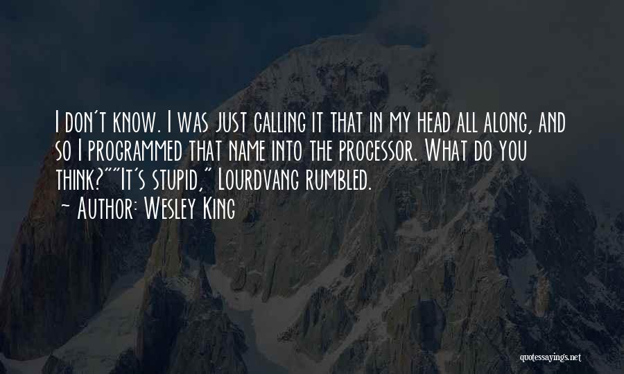 Do You Think I'm Stupid Quotes By Wesley King