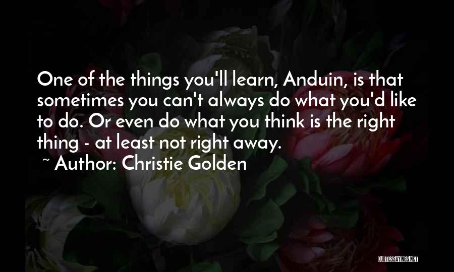 Do You Think Right Quotes By Christie Golden