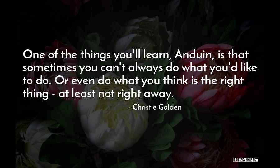 Do You Think Right Quotes By Christie Golden