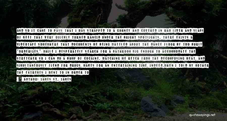 Do You Wish It Was Me Quotes By James St. James