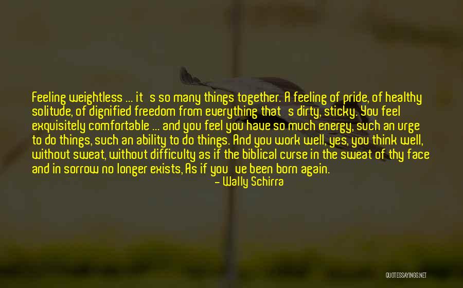 Do Your Own Dirty Work Quotes By Wally Schirra Do Your Own Dirty Work Quotes By Wally Schirra