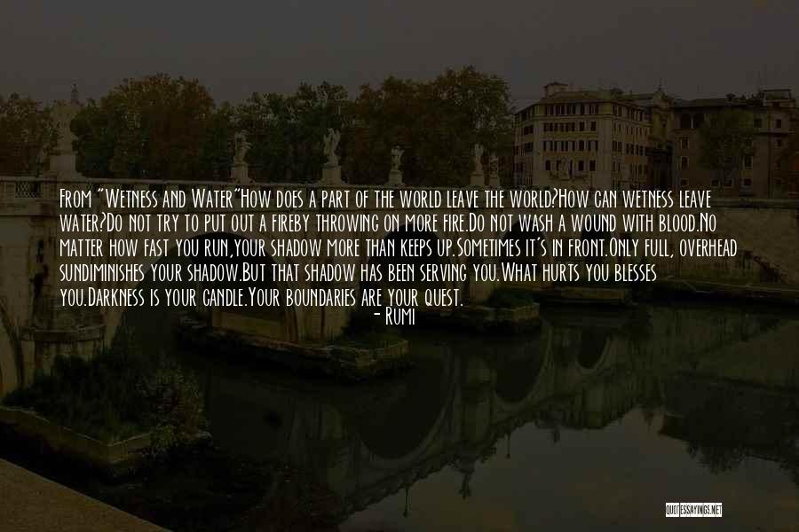 Do Your Part No Matter What Quotes By Rumi Do Your Part No Matter What Quotes By Rumi
