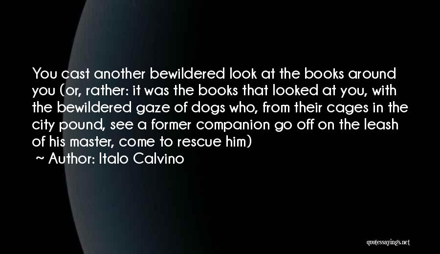 Doaku Lirik Quotes By Italo Calvino