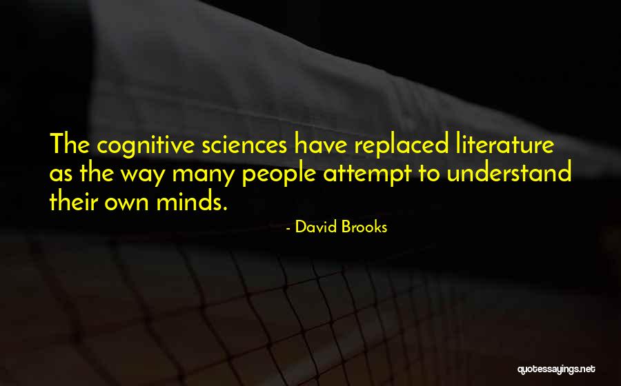 Doamna Stanca Quotes By David Brooks Doamna Stanca Quotes By David Brooks