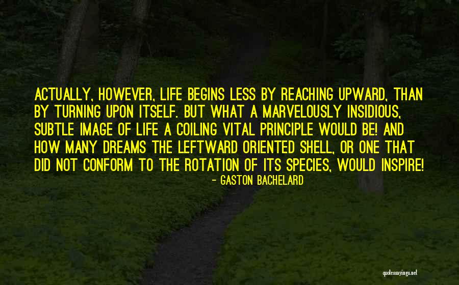Dobay Imre Quotes By Gaston Bachelard Dobay Imre Quotes By Gaston Bachelard