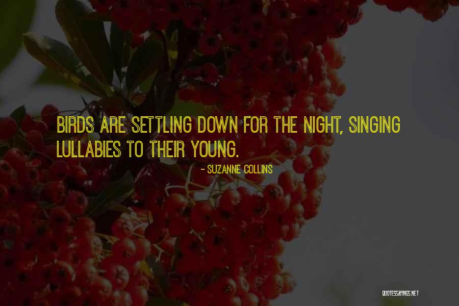 Dobosz Attorney Quotes By Suzanne Collins Dobosz Attorney Quotes By Suzanne Collins