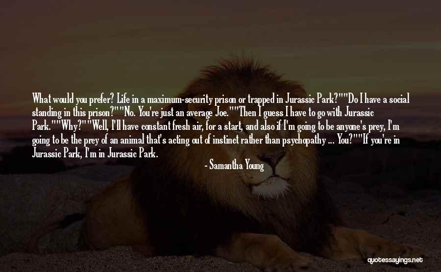 Dobras Deitadas Quotes By Samantha Young Dobras Deitadas Quotes By Samantha Young