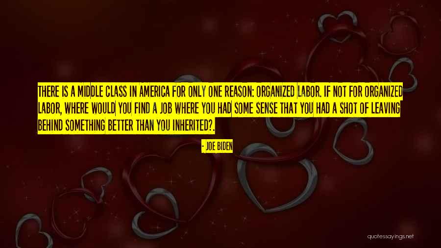 Dobrasinovic Roy Quotes By Joe Biden Dobrasinovic Roy Quotes By Joe Biden