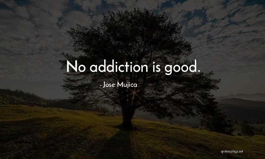 Dobrivoje Quotes By Jose Mujica