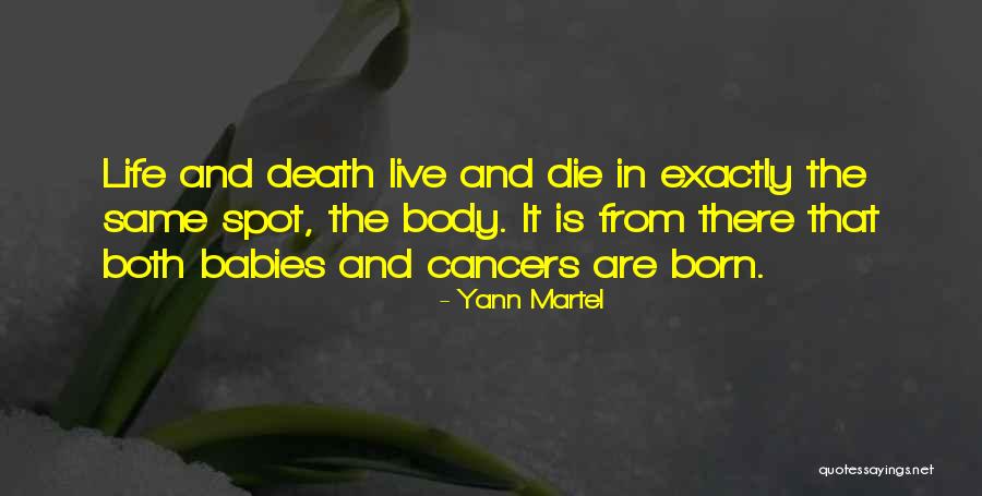 Dobromir Dymecki Quotes By Yann Martel Dobromir Dymecki Quotes By Yann Martel