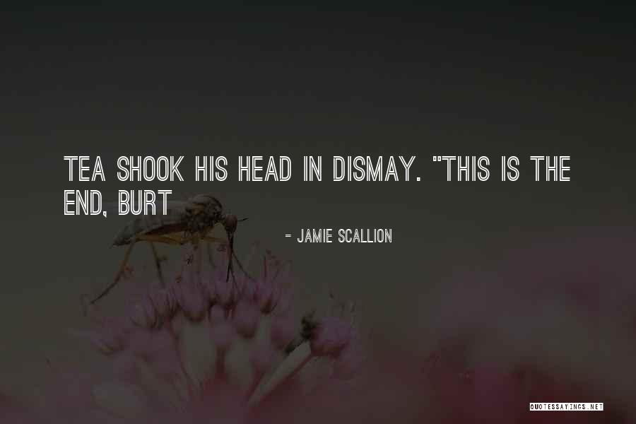 Dobrota Privatni Quotes By Jamie Scallion