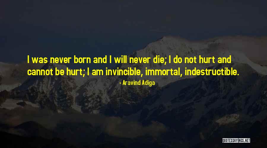 Dobrovsk Eshop Quotes By Aravind Adiga Dobrovsk Eshop Quotes By Aravind Adiga