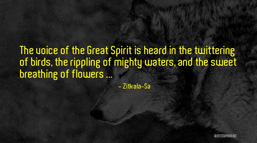 Dobsonfly Quotes By Zitkala-Sa Dobsonfly Quotes By Zitkala-Sa