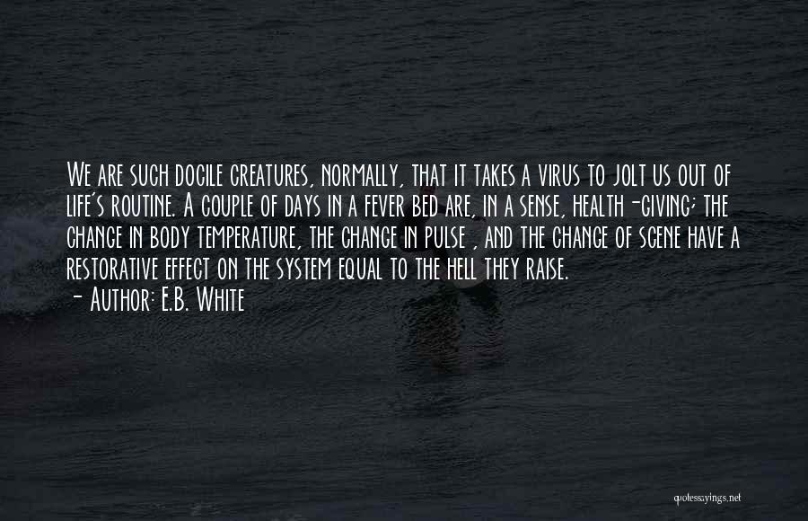 Docile Quotes By E.B. White