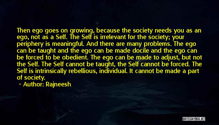 Docile Quotes By Rajneesh