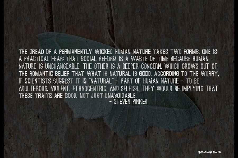 Docketing Statement Quotes By Steven Pinker