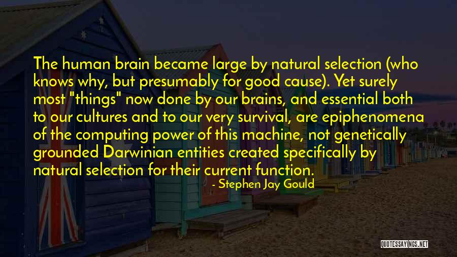 Dockworkers Gp Quotes By Stephen Jay Gould Dockworkers Gp Quotes By Stephen Jay Gould