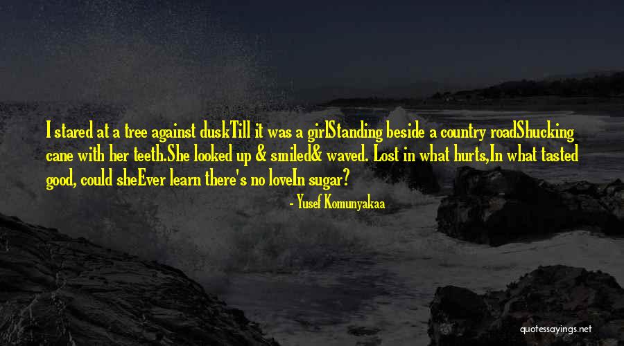 Docmd.runsql Quotes By Yusef Komunyakaa Docmd.runsql Quotes By Yusef Komunyakaa