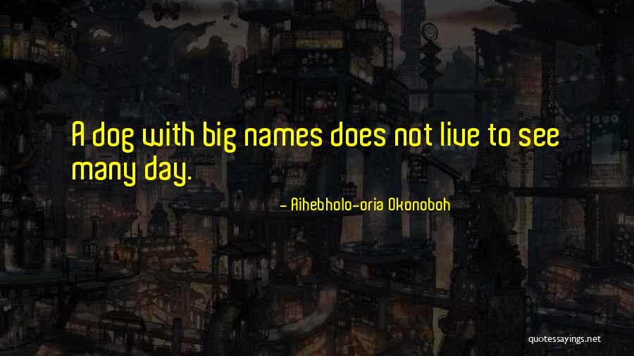 Doctests Quotes By Aihebholo-oria Okonoboh Doctests Quotes By Aihebholo-oria Okonoboh