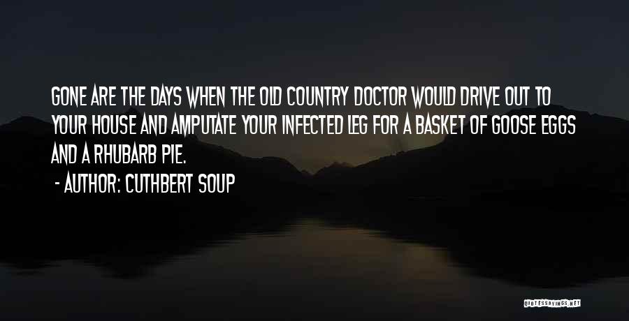 Doctor House Quotes By Cuthbert Soup