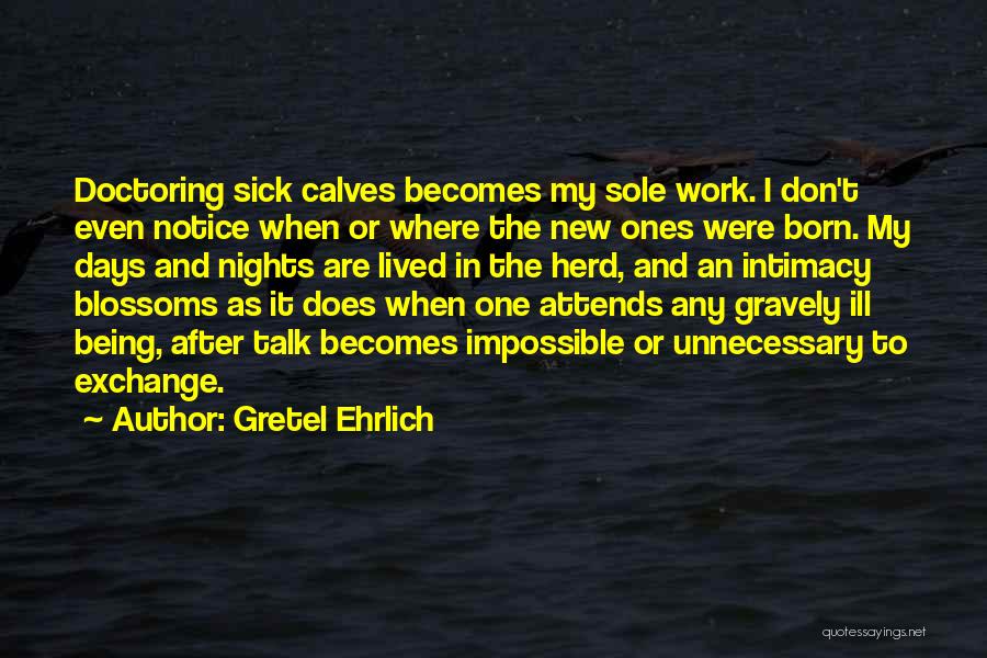 Doctoring Quotes By Gretel Ehrlich