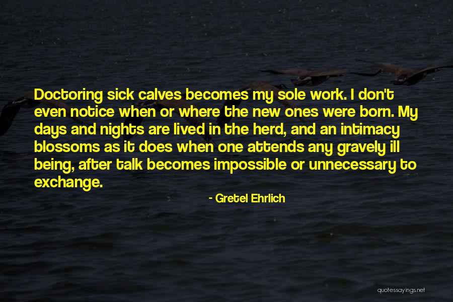 Doctoring Quotes By Gretel Ehrlich