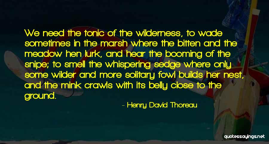 Doctrinas Esenciales Quotes By Henry David Thoreau Doctrinas Esenciales Quotes By Henry David Thoreau