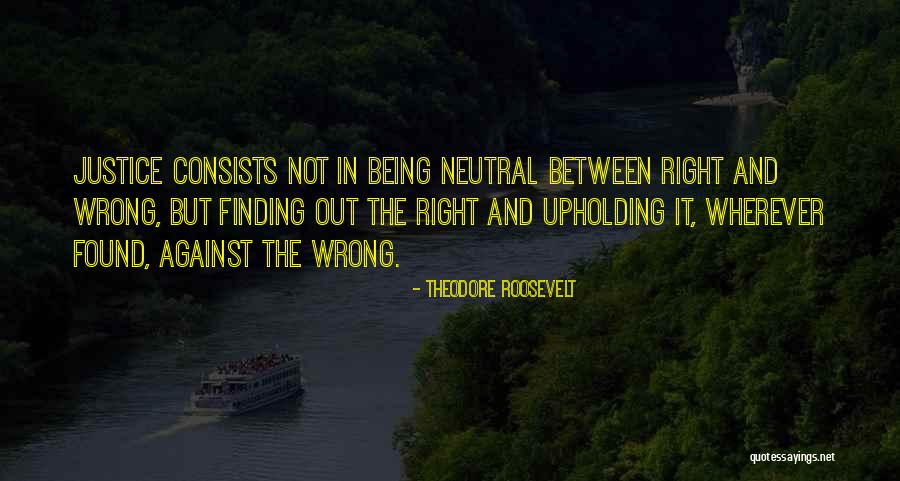 Doctrine Of Virtue Quotes By Theodore Roosevelt Doctrine Of Virtue Quotes By Theodore Roosevelt