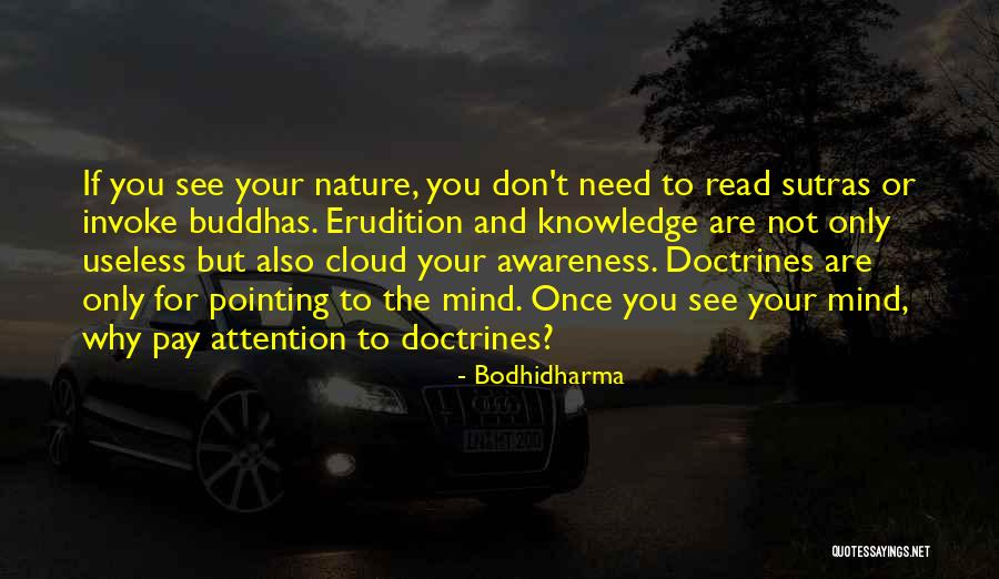 Doctrines Quotes By Bodhidharma