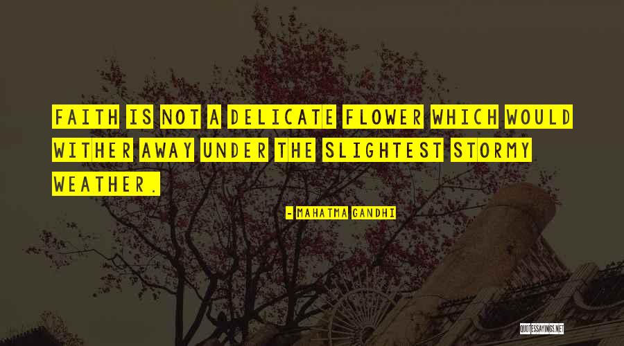Docuit Latin Quotes By Mahatma Gandhi Docuit Latin Quotes By Mahatma Gandhi