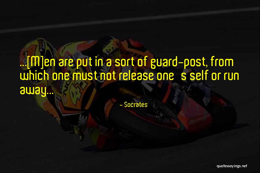 Document Camera Quotes By Socrates Document Camera Quotes By Socrates