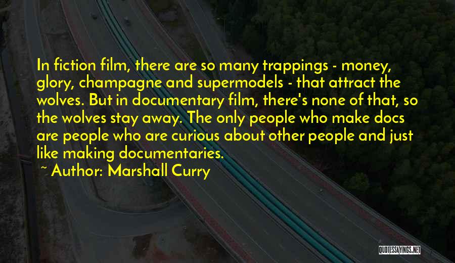 Documentary Quotes By Marshall Curry