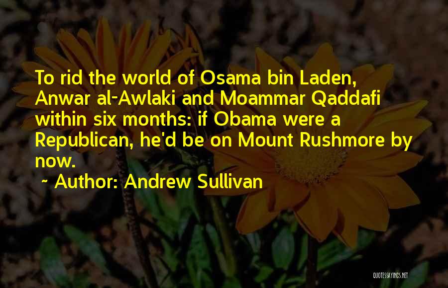 Documentations Quotes By Andrew Sullivan