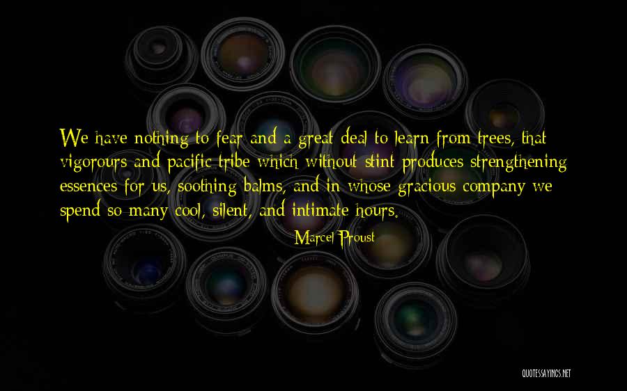 Documentations Vs Documentation Quotes By Marcel Proust Documentations Vs Documentation Quotes By Marcel Proust