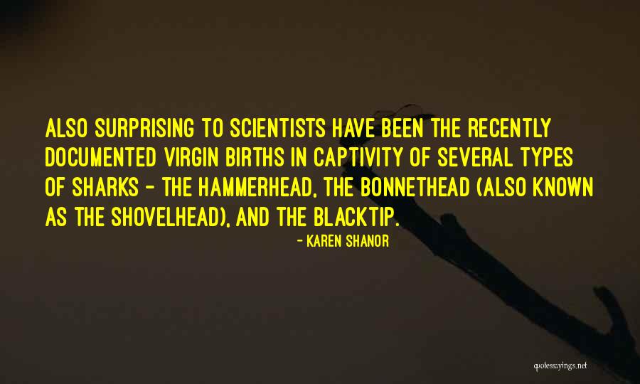 Documented Quotes By Karen Shanor Documented Quotes By Karen Shanor