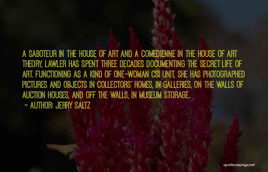 Documenting Quotes By Jerry Saltz