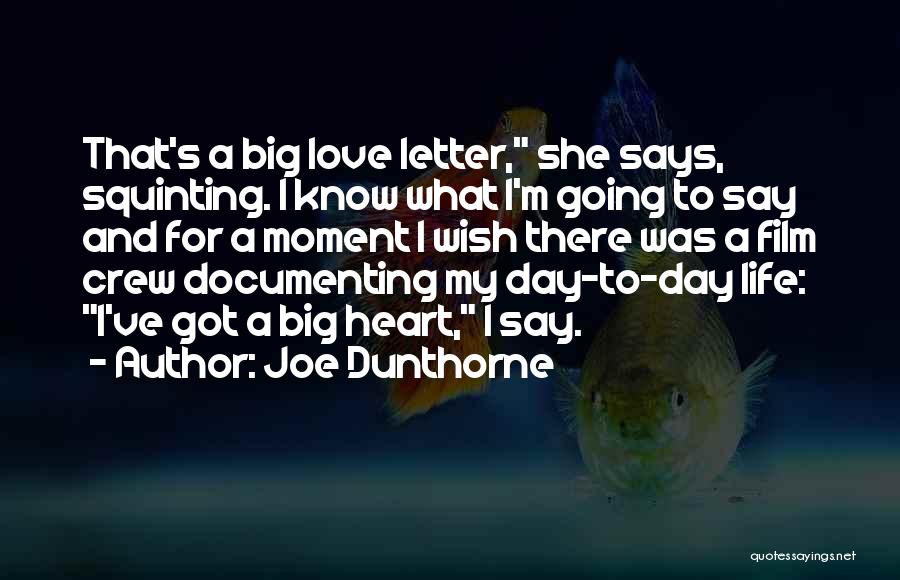 Documenting Quotes By Joe Dunthorne